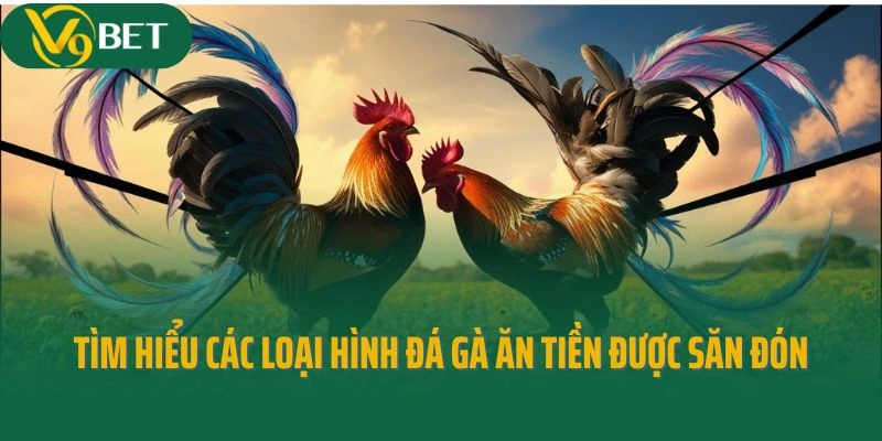 Tìm Hiểu Về Các Loại Hình Đá Gà Ăn Tiền Được Săn Đón
